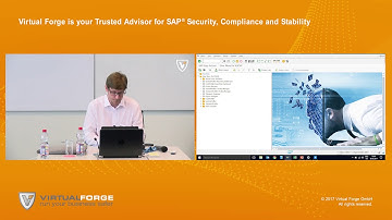 Analyze SAP transport contents with Virtual Forge TransportProfiler