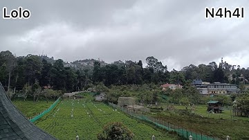 N4h4l-Lolo #youtubemusic