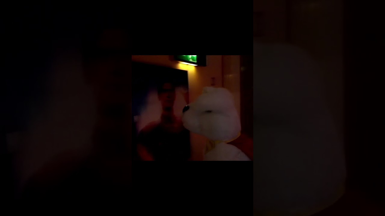 Krypto at the Cinema 