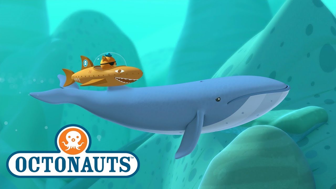 Octonauts - Blue Whale | Sea Creature Encounter | Cartoons for Kids |  Underwater Sea Education - YouTube