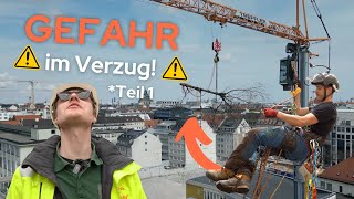 Ab durch die Hecke VLOG 3: ACHTUNG! Gefahrenbaumfällung