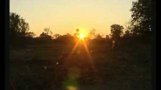 McBrides Camp - Morning