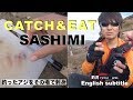 catch and cook,Yellowtail SASHIMI,Fishing in Australia 釣ったアジを岩場で刺身にして食べてみる 釣魚在澳洲