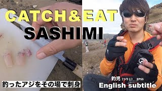 catch and cook,Yellowtail SASHIMI,Fishing in Australia 釣ったアジを岩場で刺身にして食べてみる 釣魚在澳洲