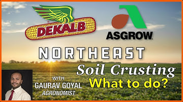 Soil Crusting: what to do?