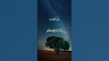يا أيها الناس قد جاءكم برهان من ربكم وأنزلنا إليكم نورا مبينا - سورة النساء - علي جابر
