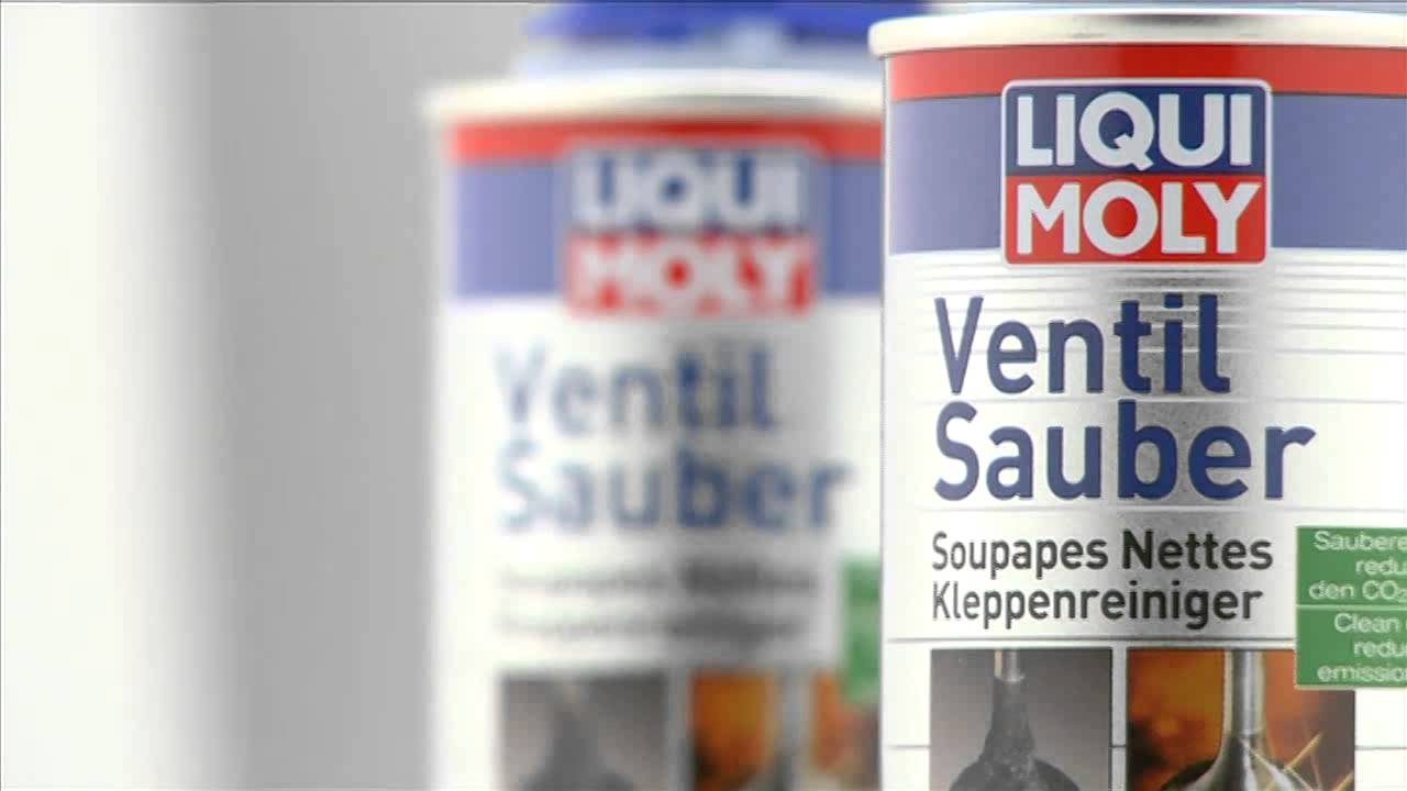 PKW Motor Ventile reinigen mit Liqui Moly 1014 Ventil Sauber, 150