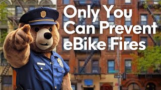 New eBike Battery Safety Laws by Propel 32,362 views 1 year ago 20 minutes