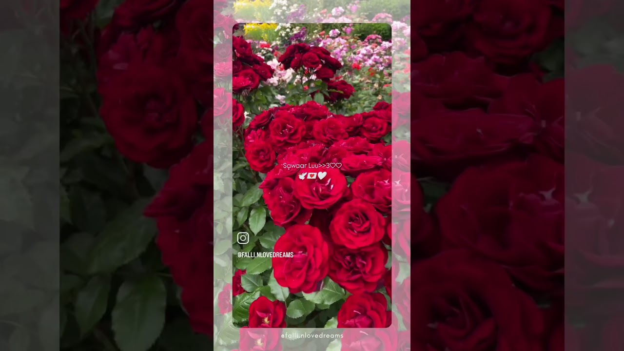 Sending you a bouquet of sunshine 🌻 and love to brighten your day and remind you how special you are