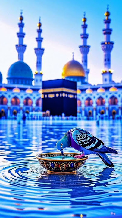 Dua🙏🤲 #music #egzonibrahimi #quran #elhamdulilah #duaa #دعاء #madina #cute #islamicholycities