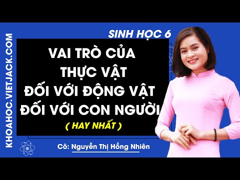 Sinh học 6 - Bài 48 - Vai trò của thực vật đối với động vật và đối với đời sống con người (HAY NHẤT)