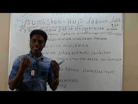 HIIKKAA JECHOOTA AFAAN LOROMOO