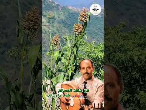 أيوب طارش: وصلة غنائية يمنية أصيلة