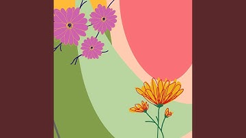 Debonair Moods for Lazy Afternoon Work