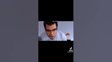 ريمكس سنو آر Snow Ar 