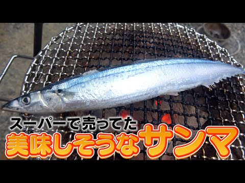 へんおじ へんな魚おじさんのひとり言 - YouTube
