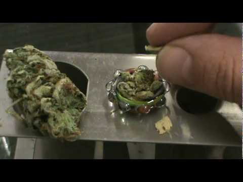 STONER SUNDAYS : HINDU KUSH BOWL : The WEED Report Un-Cut