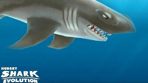 Hungry Sharks Evolution(Hammerhead Shark!!) part 3