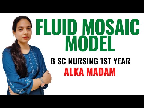 Fluid Mosaic Model II B Sc 1st Year II Bio Chemistry II