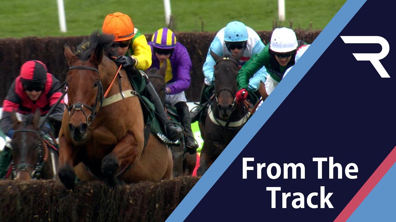 Thriller! Midnight Shadow survives scare at last to land dramatic Paddy Power Gold Cup - Racing TV