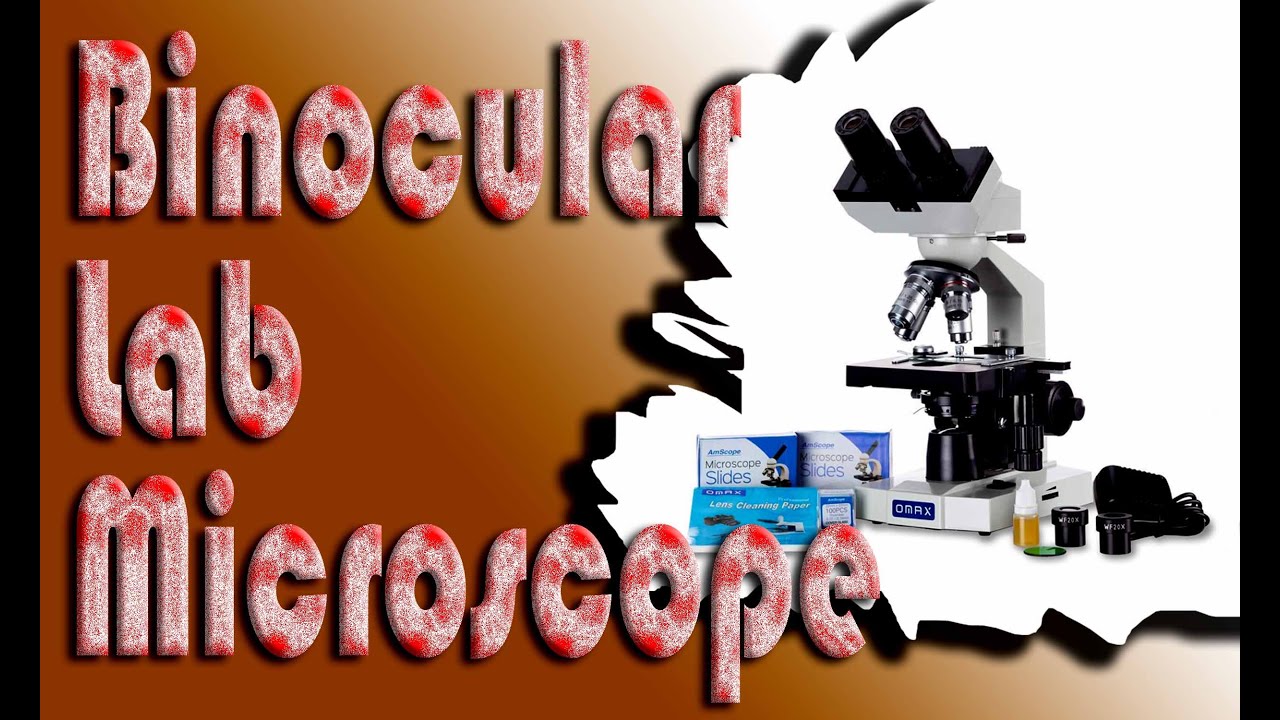 Best Binocular Lab Microscope 2022 on Amazon USA