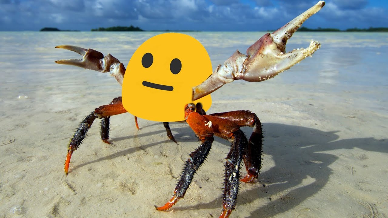 Solo Crabbin' in Crab Champions