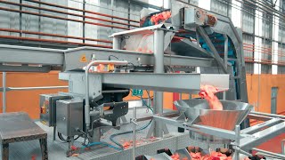 PPM Technologies-Snack Food Conveyor Distribution Systems