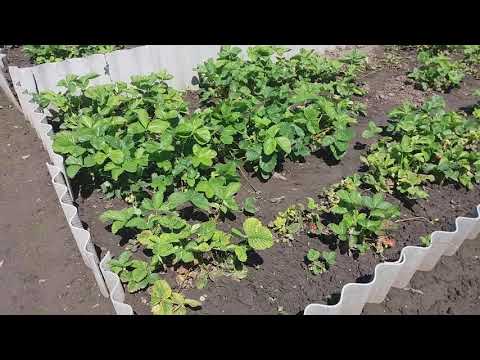 ДАЧА МЕЧТЫ 4