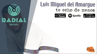Luis Miguel del Amargue - Niña coqueta (Audio Oficial)