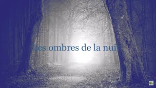 Les ombres de la nuit  -   Stan Rol   (Paroles)