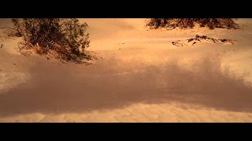 Dust simulation test fluid in Maya