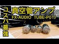 FX-AUDIO- TUBE-P01J