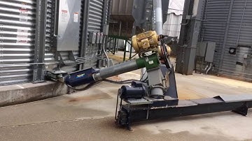 Unloading Corn into Wet bin
