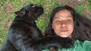 Visiting the panther Luna 🐆 / New enclosure 🌿