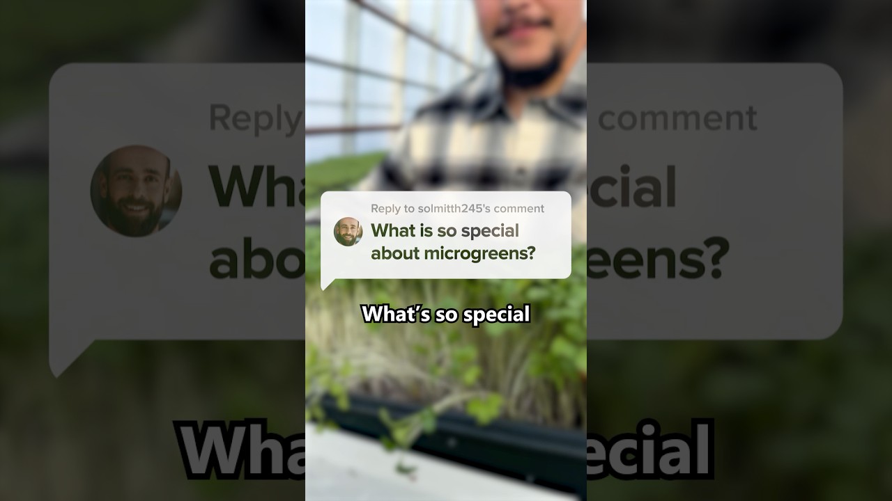 What’s so special about microgreens?