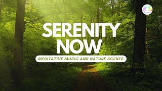 Serenity Now | Meditative Music and Nature Scenes | Meditation Paradise Harmony