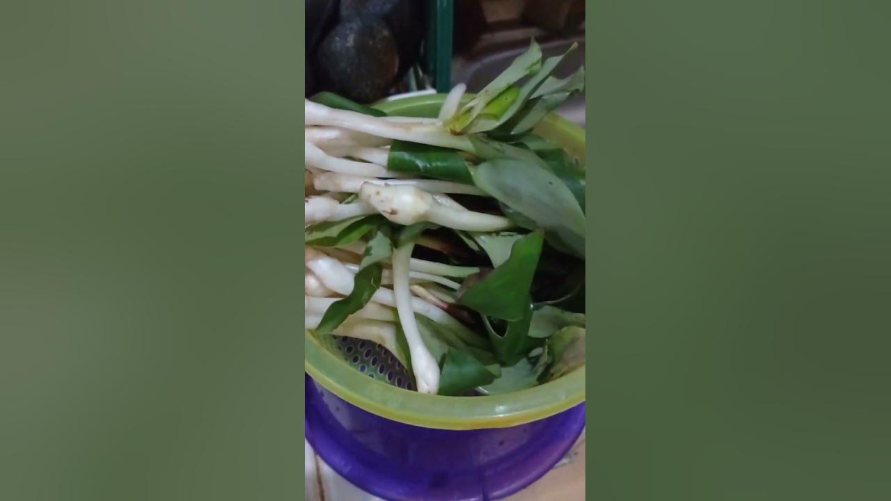 membuat urap daun kencur, bumbu2 ada di diskripsi ya