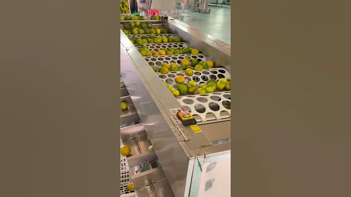 Orange sorting machine very effective #shorts #smartworking