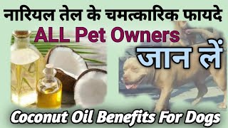 डॉग के लिए नारियल तेल के फायदे virgin coconut oil benefits for dogs khopra oil benefits