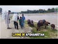 village life | Afghanistan | Rural life of Afghanistan | Simple life | 2020 | HD