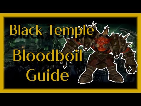 An in depth guide to Gurtogg Bloodboil - Black Temple - TBC Classic