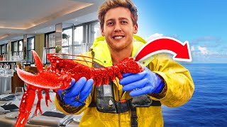 We Released a Restaurant Lobster by Josh & Archie 80,945 views 1 year ago 8 minutes, 6 seconds