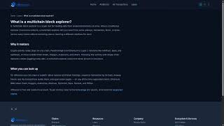 What Is a Multichain Block Explorer