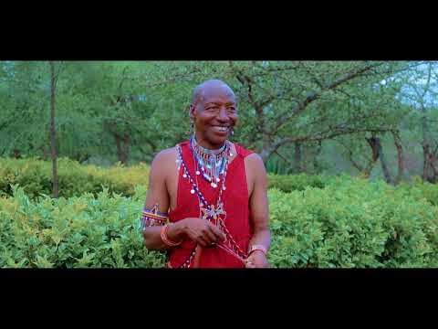 OLOONGUSEI OFFICIAL MUSIC VIDEO ILMURRAN LENKIRIKA DALAS GROUP