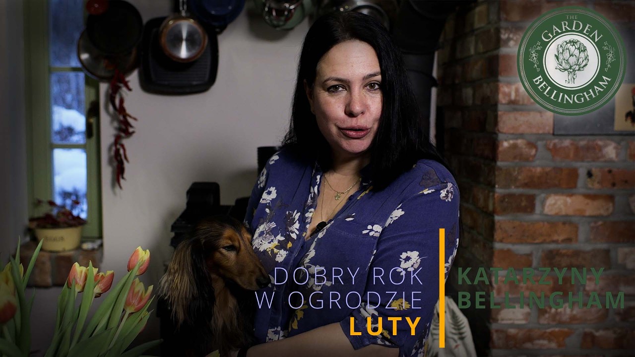 🧅🌷Co zrobić z zapomnianymi cebulkami wiosennymi w środku zimy? ❄️🌱Lasagne cebulkowe zimą ✨