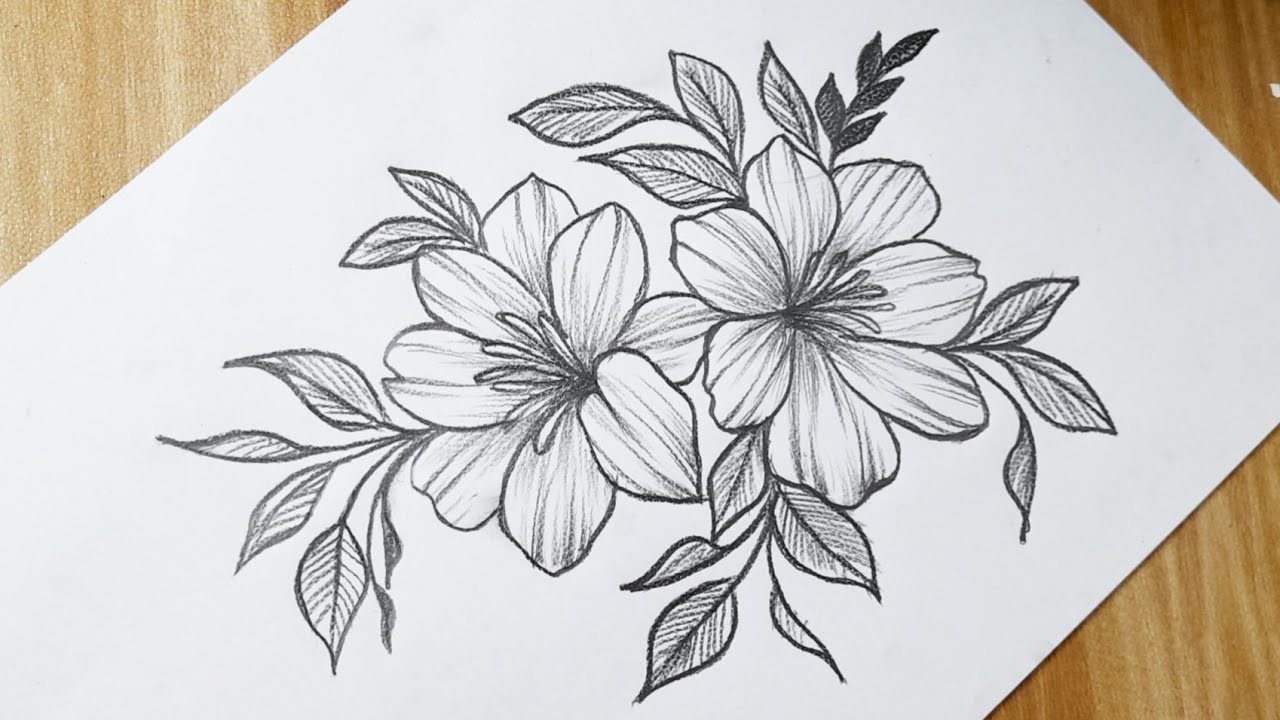 How to draw flowers easy step by step with pencil || Flower ...