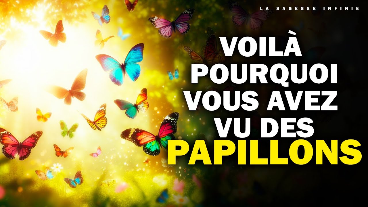 Voyez vous des PAPILLONS? Significations spirituelles de chaque Couleur