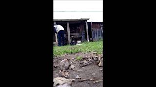 картинка: Наконец купили это