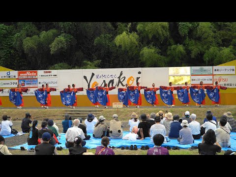 2024.7.27 ひらた踊らにゃSONSON「黎明朱雀」第21回斐川だんだん