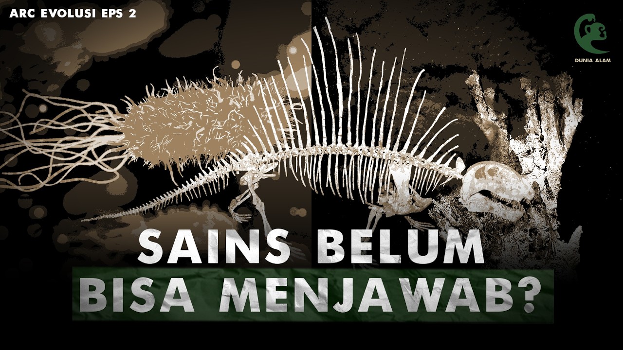 Dari Mana Sebenarnya Kehidupan Tercipta? | Arc Evolusi eps 2: Awal Mula Kehidupan